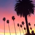 10 razones por las que Los Angeles está de moda