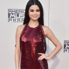 American Music Awards 2015: alfombra roja