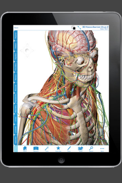 Visible Body 3D Atlas de Anatomía Humana - TELVA