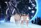 Desfile de Victoria's Secret  foto 25 - TELVA