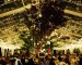 El banquete se celebró en una finca de los padres de Elena en Simancas. La carpa donde se ubicaron las mesas se caracterizó por estar decorada  con árboles repletos de tarros con velas, flores y una iluminación cálida.