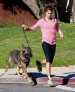 Nikki Reed, jogging dog friendly