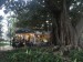Caf Esplanada en el Jardim do Principe Real