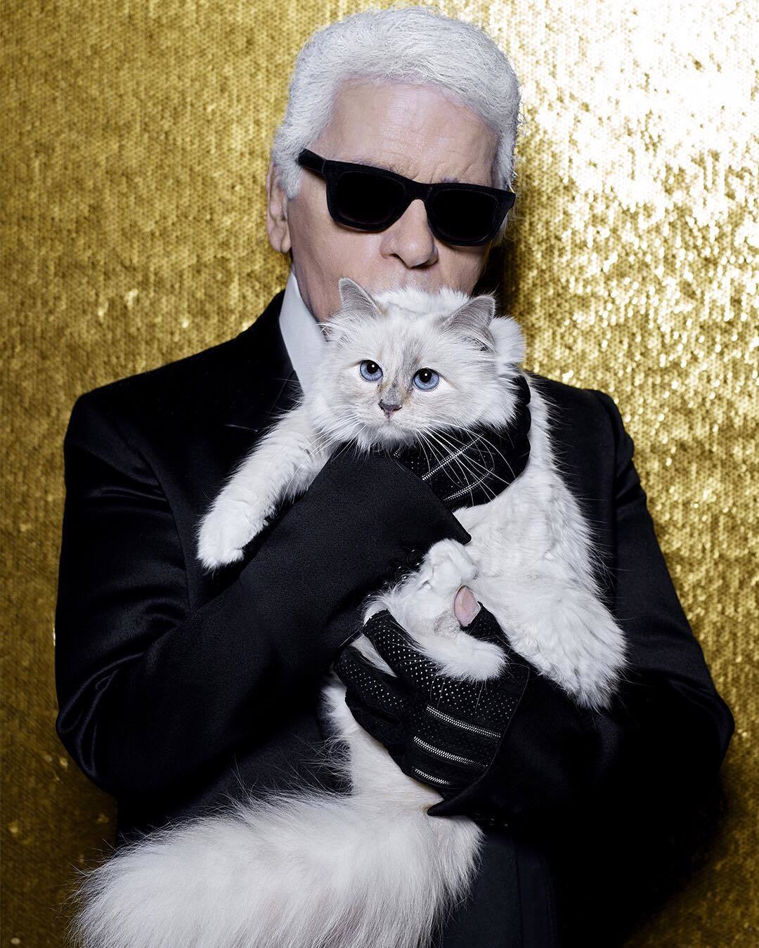 El director creativo de Chanel tiene uno de los gatos ms famosos del...