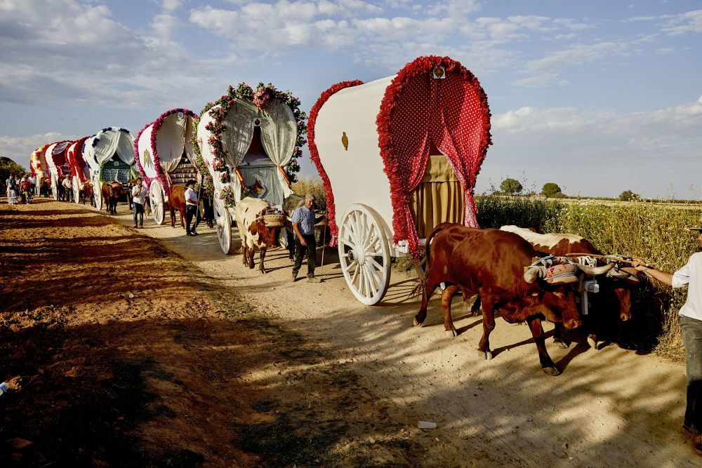 Las carretas mantienen vivo el espíritu de la romería y cada hermandad las decora con su propio estilo.
