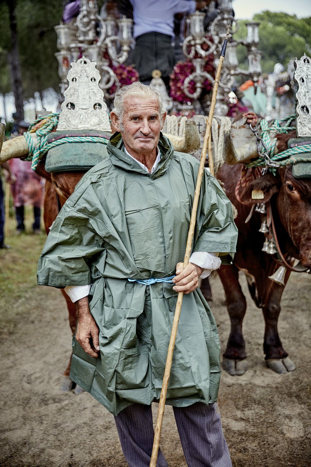 Manuel, el carretero de la Virgen, lleva 56 años yendo al Rocío con sus bueyes. En la foto, delante del Simpecado.
