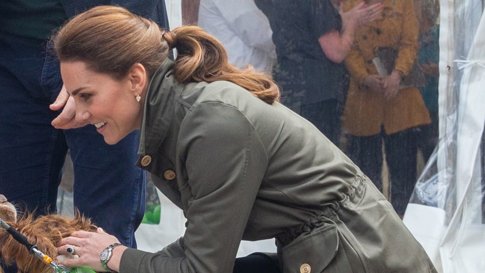 Kate Middleton con su coleta semitrenzada en la raíz y ondulada de medios a puntas.
