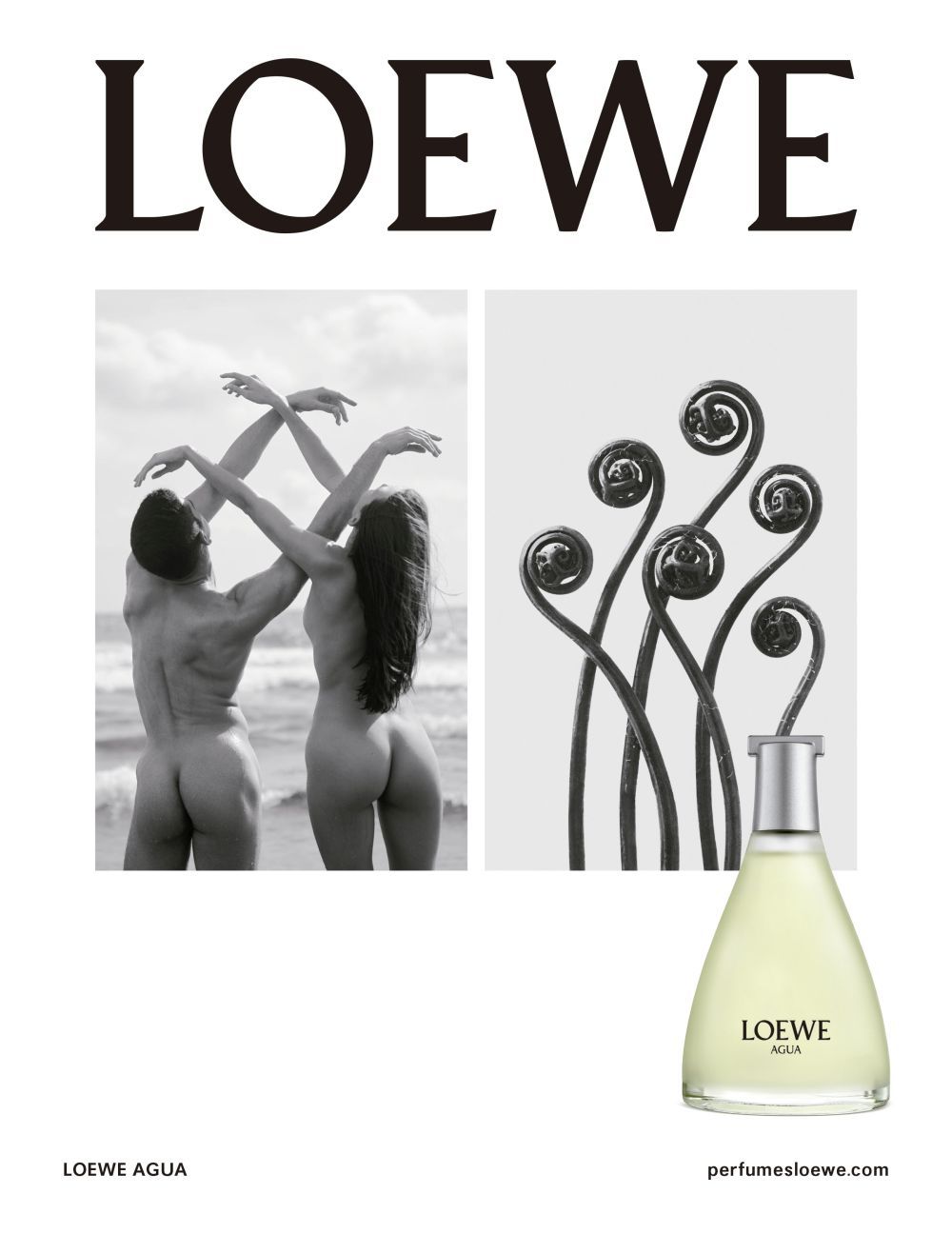 Publicidad de Loewe en la que el fotgrafo Arno Minkkinen homenajea a Blossfeldt y da vida a sus plantas.