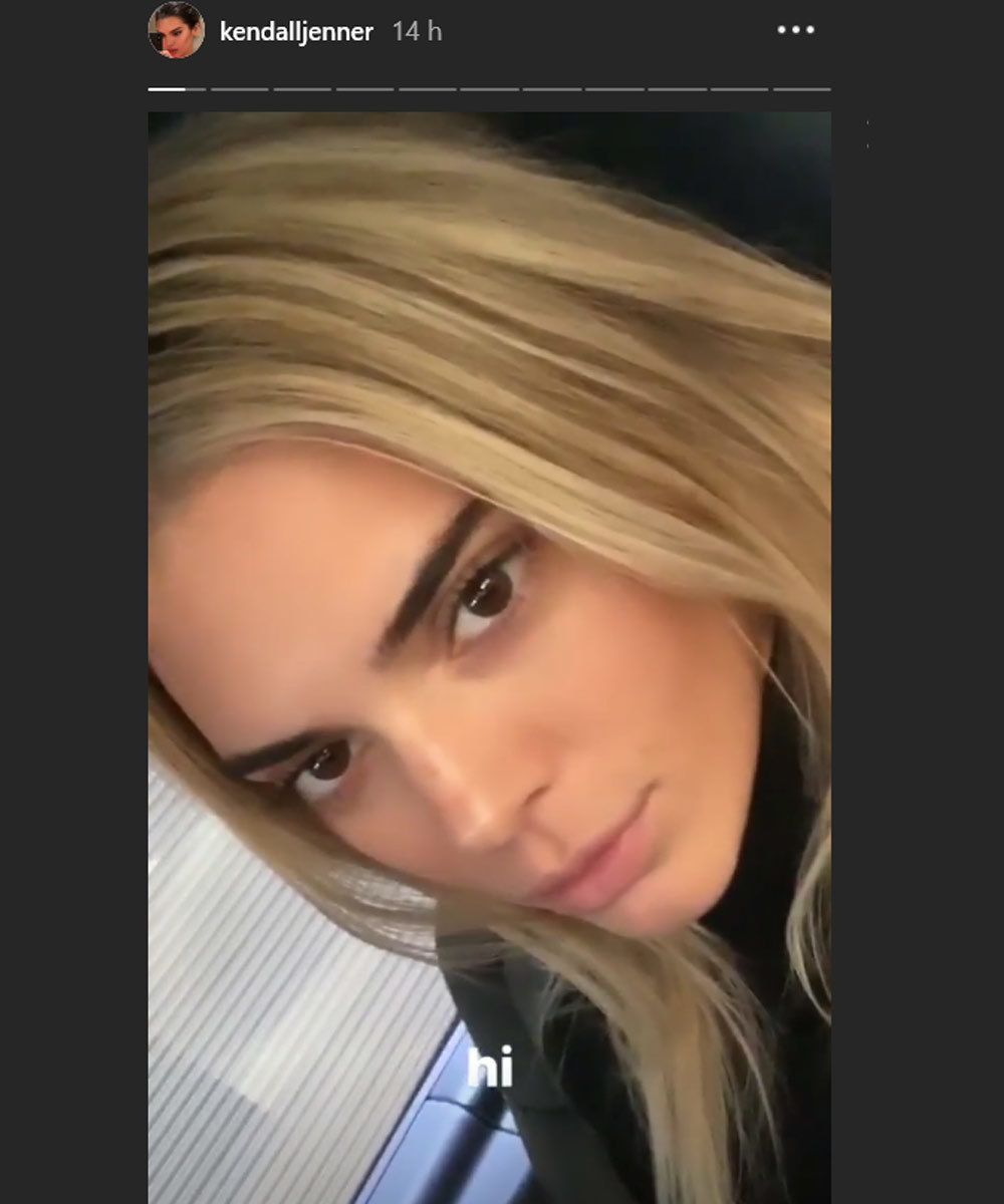 Selfie de Kendall Jenner con su melena rubia recién estrenada.