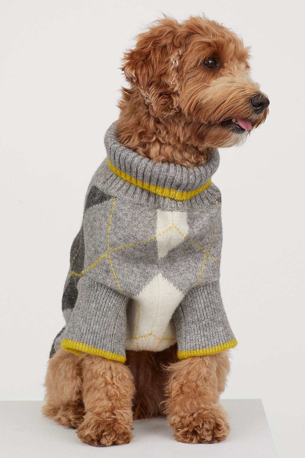 jersey-de-punto-para-perro-19-99-euros-las-15-prendas-de-la