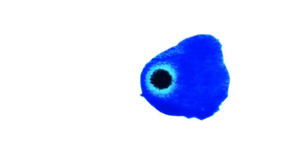 "El azul suele evocar la calma en mis acuarelas. El negro, el nico color a travs del que no para la luz, representa el miedo" . Acuarela de Cecilia Bofarull.