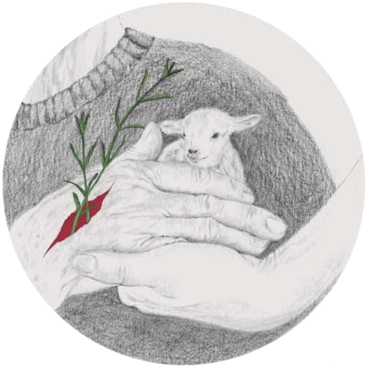 "Seher", es el viento de las maanas que se cree que ayuda a las plantas a desarrollarse y crecer. Me gusta mucho porque parece en s un arrullo. (Mara Snchez, autora de "Almciga"). Ilustracin: Cristina Jimnez.