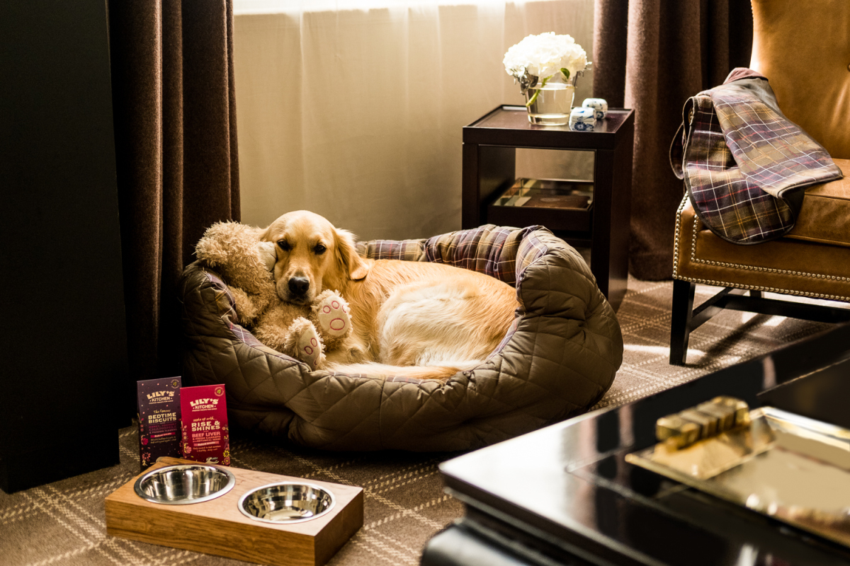 Hoteles que aceptan perros : El hotel Rosewood en Londres y el Villamagna en  Madrid.