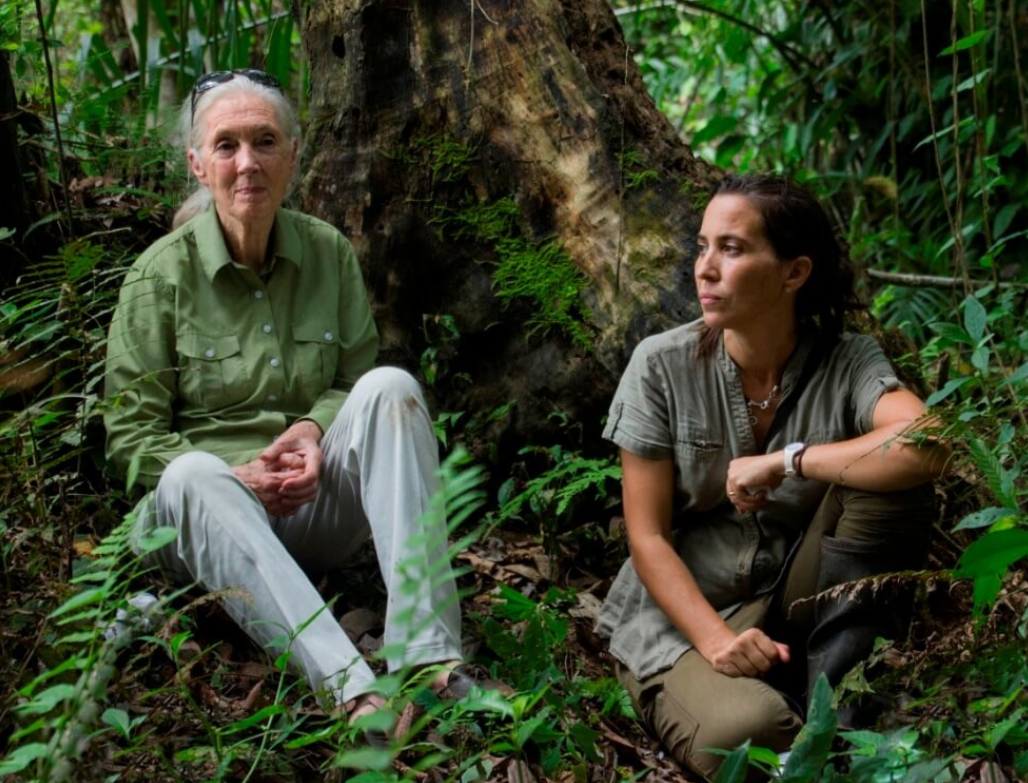 Jane Goodall y Rebeca Atencia en la selva.
