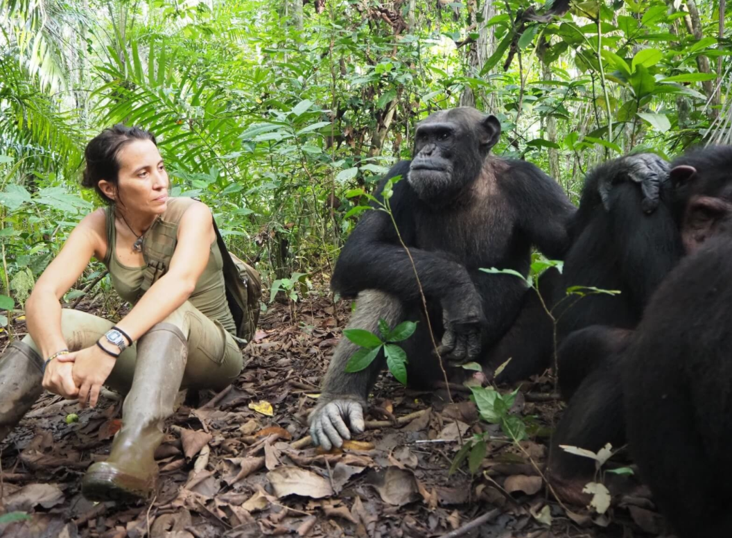 Rebeca con algunos de los chimpancés rescatados.
