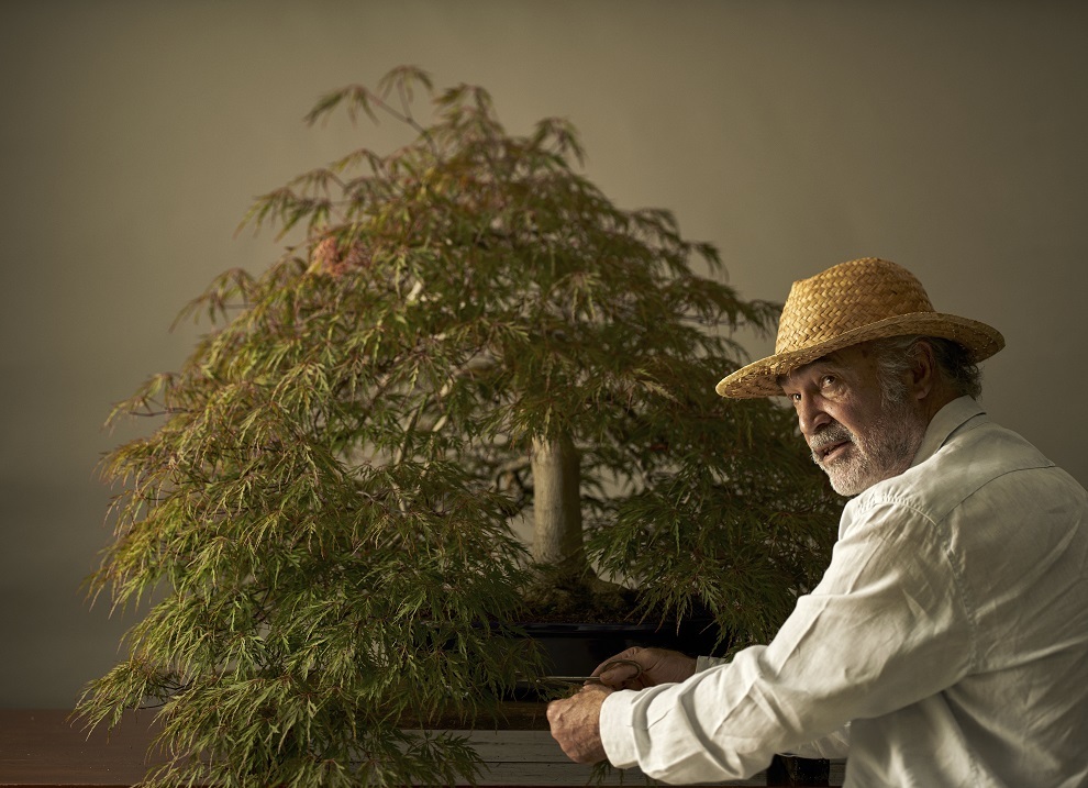 Luis Vallejo con uno de los bonsáis del Museo del Bonsái Luis Vallejo