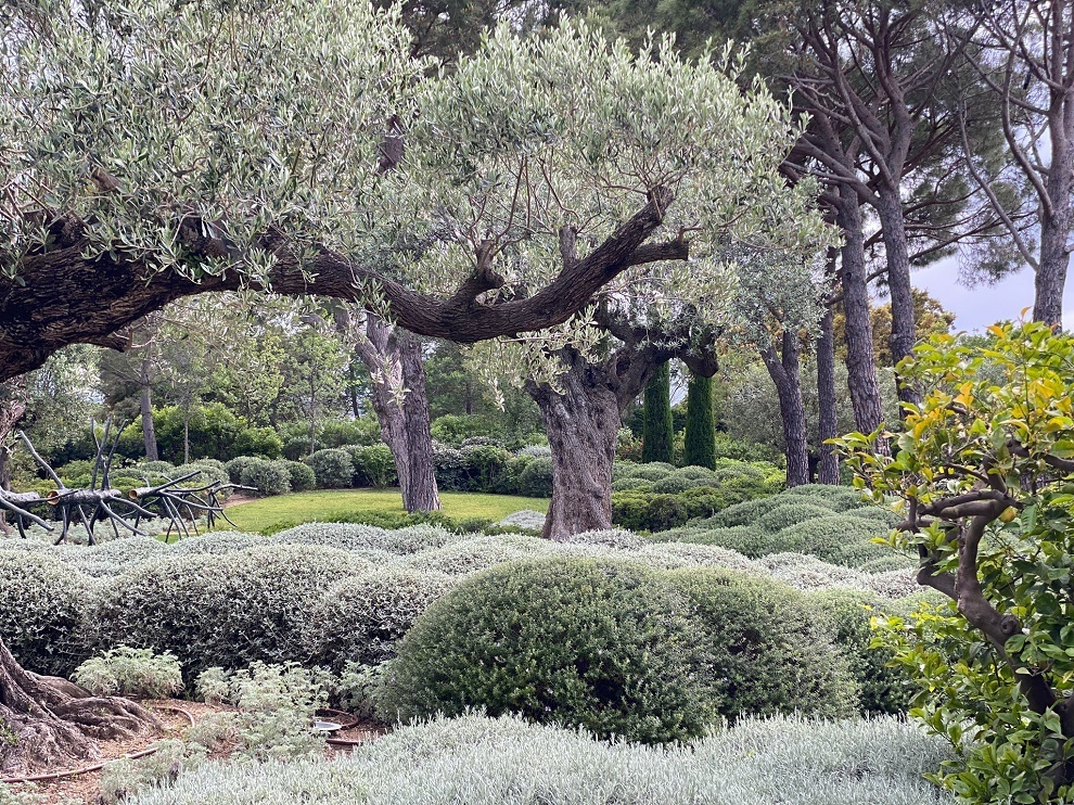 Jardín en St. Tropez