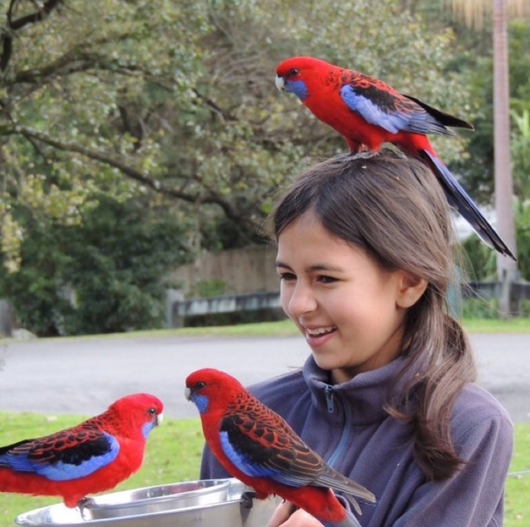 Con 11 años creo el blog Birdgirl para compartir su amor  por los pájaros.