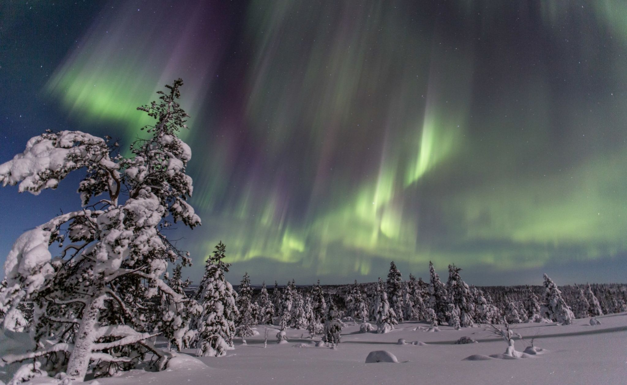 Las auroras boreales en Laponia finlandesa son un espectáculo de la naturaleza.