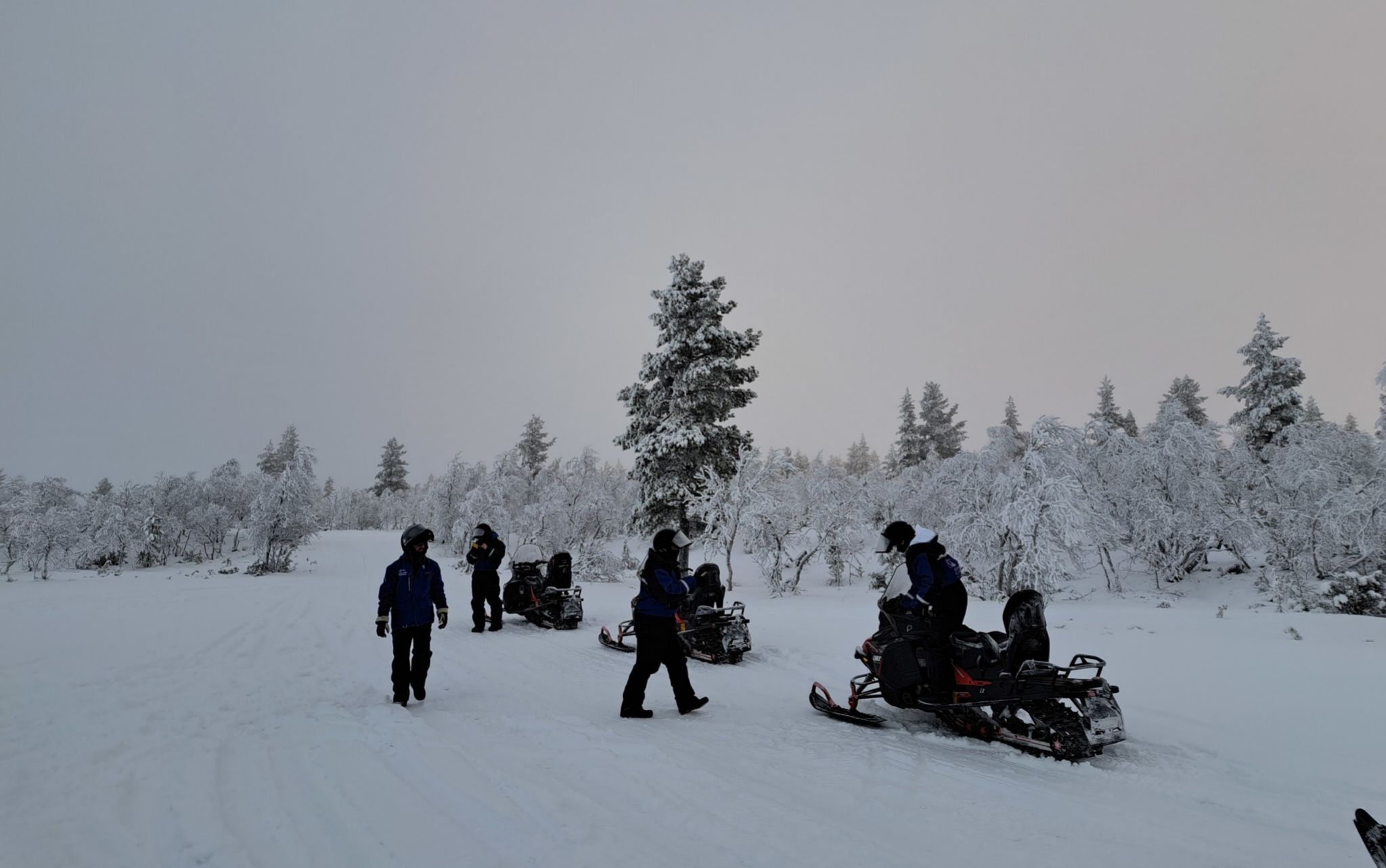 Motos de nieve se pueden practicar en muchas partes del mundo, pero con estos paisajes no. Ruta por Saariselkä con Lapland Safaris.