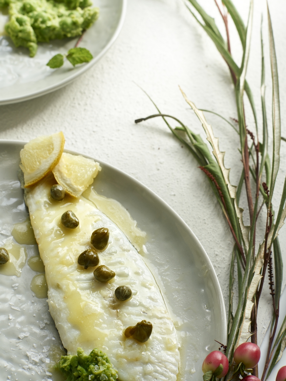 Para acabar el día y como cena, los expertos en nutrición recomiendan pescado blanco y en raciones moderadas.
