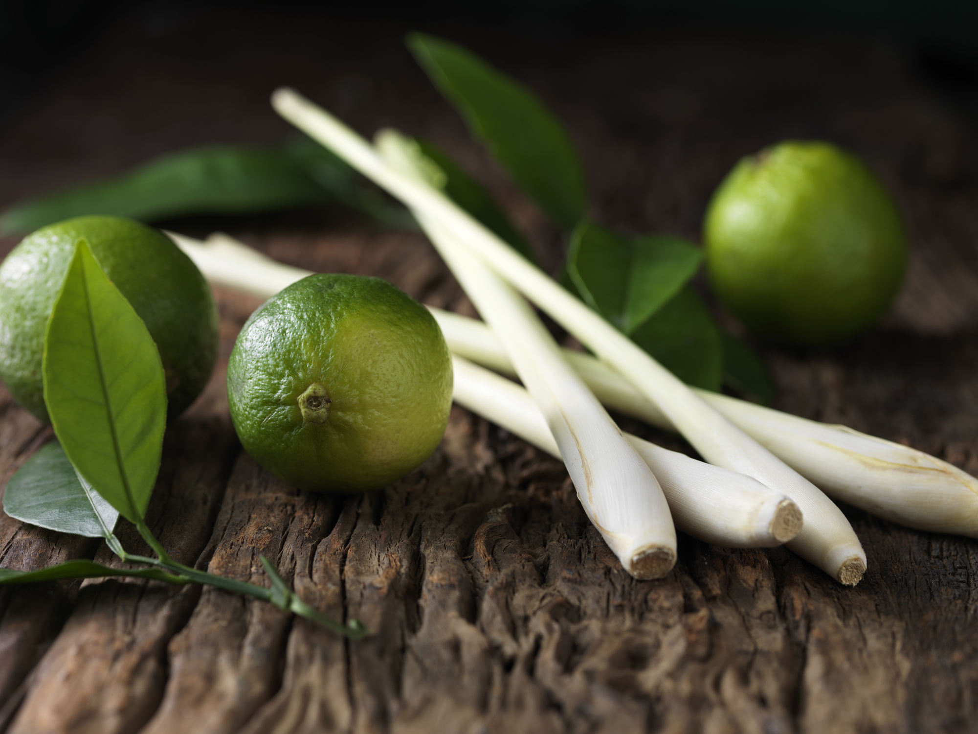 Originaria de Asia y el Pacífico Sur, se caractariza por su inconfundible fragancia a limón.