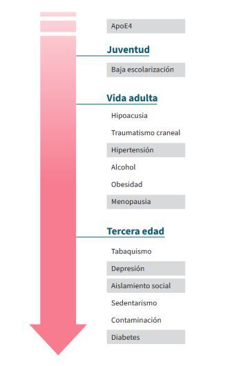 Representación esquemática de los factores de riesgo de demencia específicos de mujeres (en gris los de mayor incidencia).