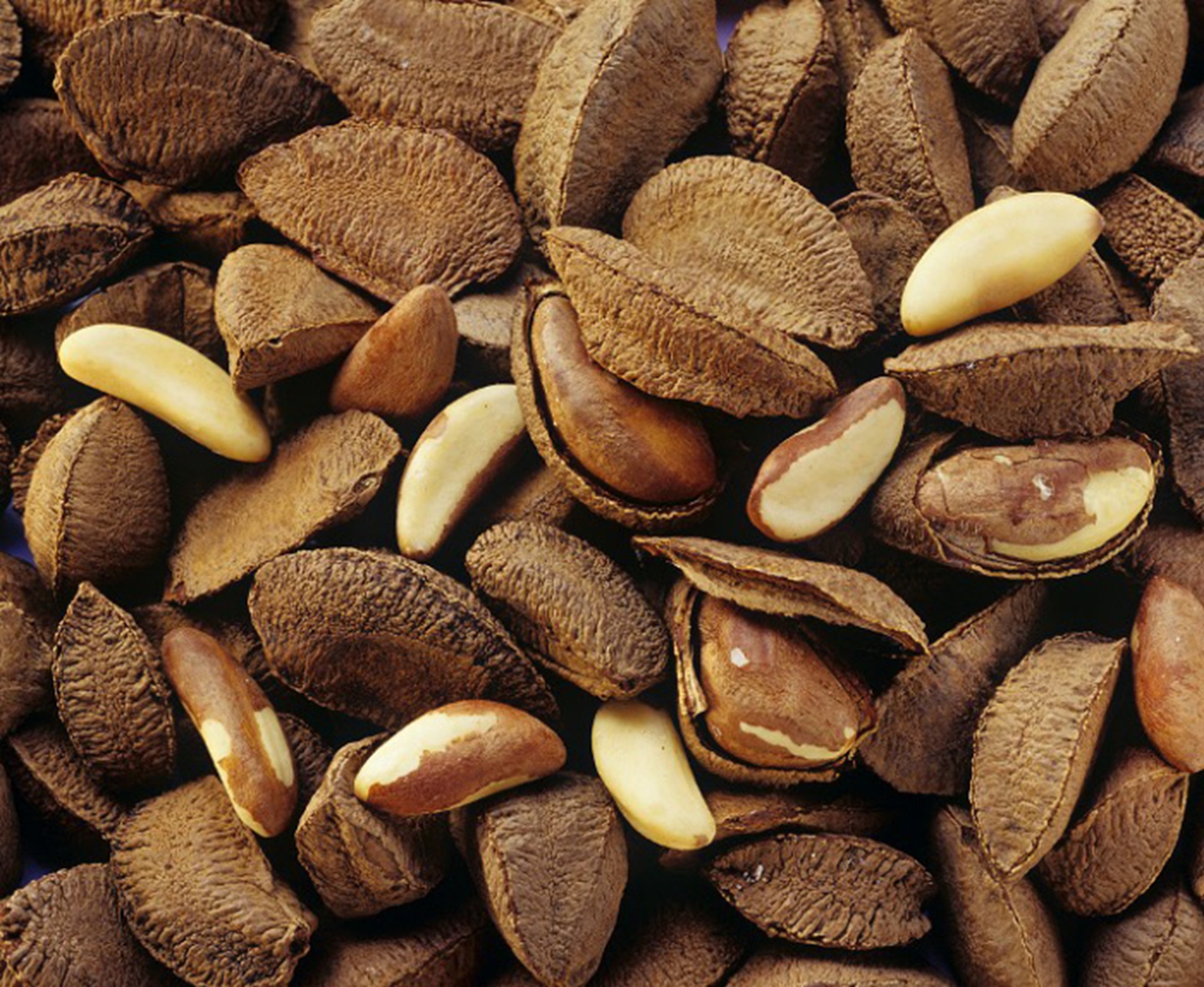 Carla Zaplana Nutricionista Las Nueces De Brasil Son Ricas En 