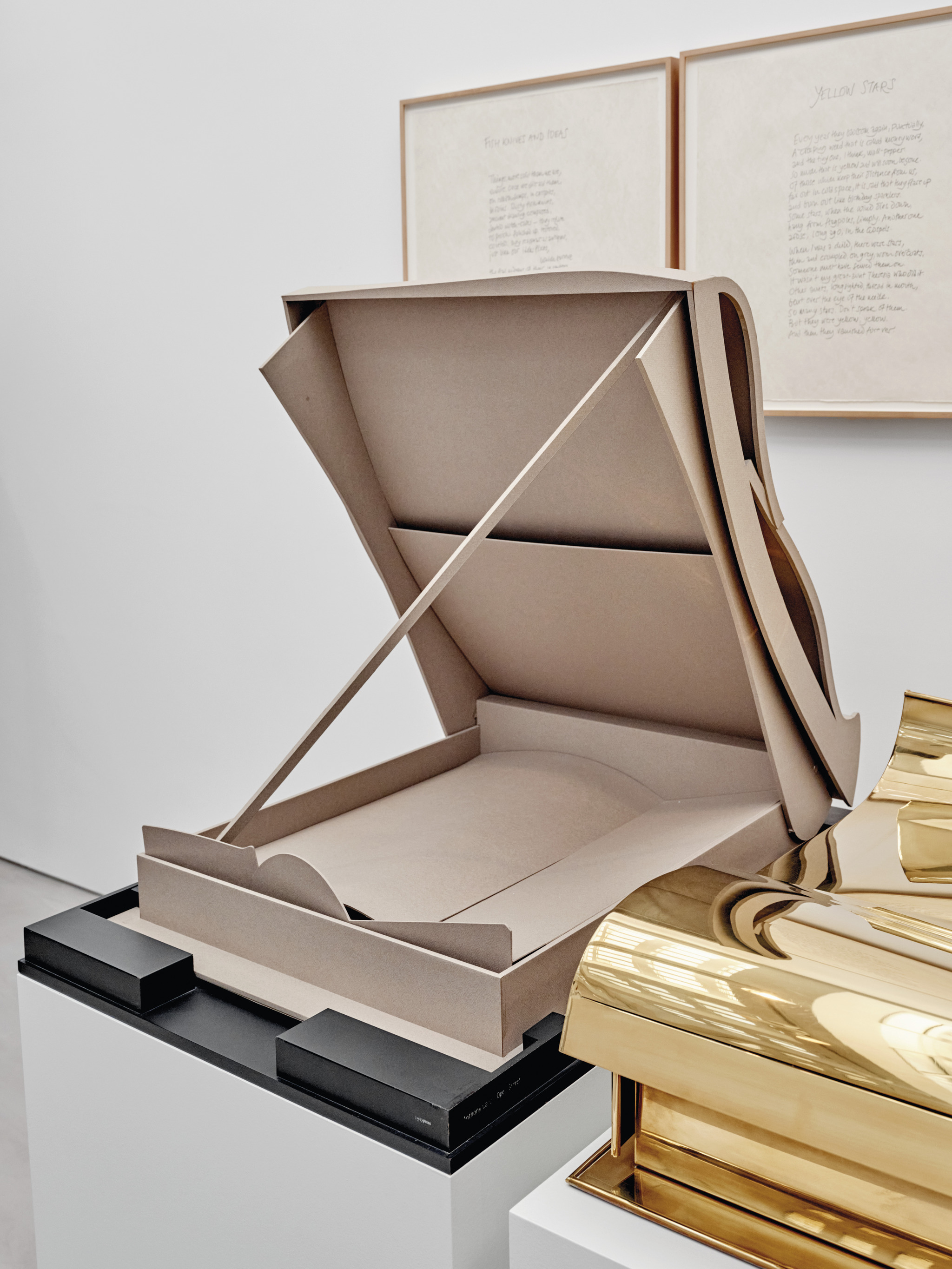 Anthony Caro, Open Secret,
Ivorypress, 2004
