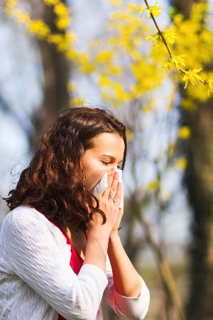 Cules son las alergias ms comunes?
