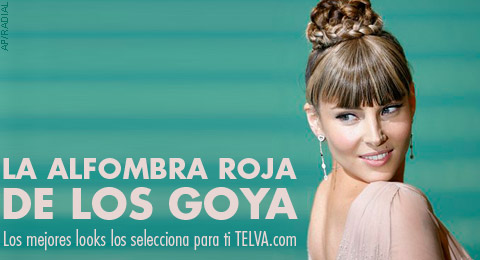 Premios Goya 2008