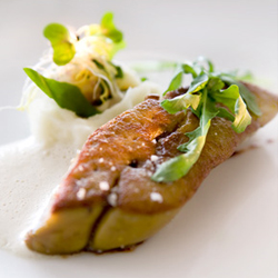 Foie gras de pato - TELVA.com