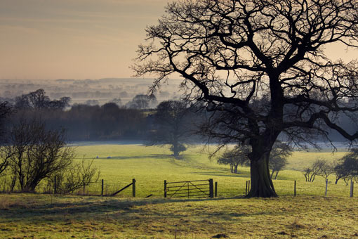 Bonito paisaje de la campia inglesa (Foto: Getty Images)