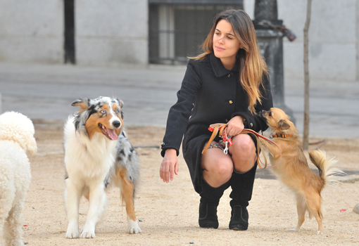 Adriana Ugarte de paseo con sus mascotas. Foto GTres Online.