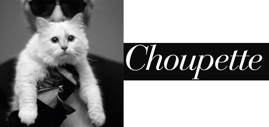 Choupette, un gato celebrity con costumbres de princesa
