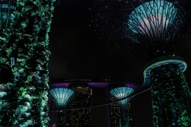 Marina Bay Gardens en Singapur