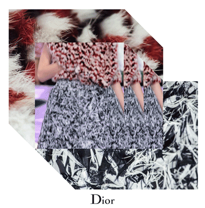 Collage de artista gráfica Rosanna Webster para la campaña de Dior Alta Costura Otoño- Invierno 2015/2016.
