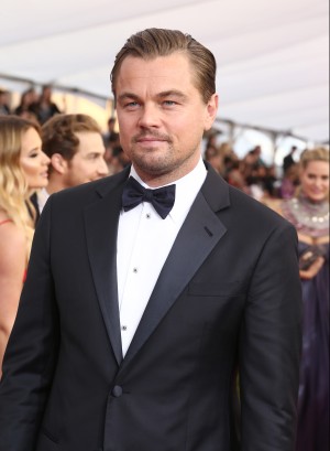 Leonardo DiCaprio asistió a una audiencia privada con el Papa Francisco.